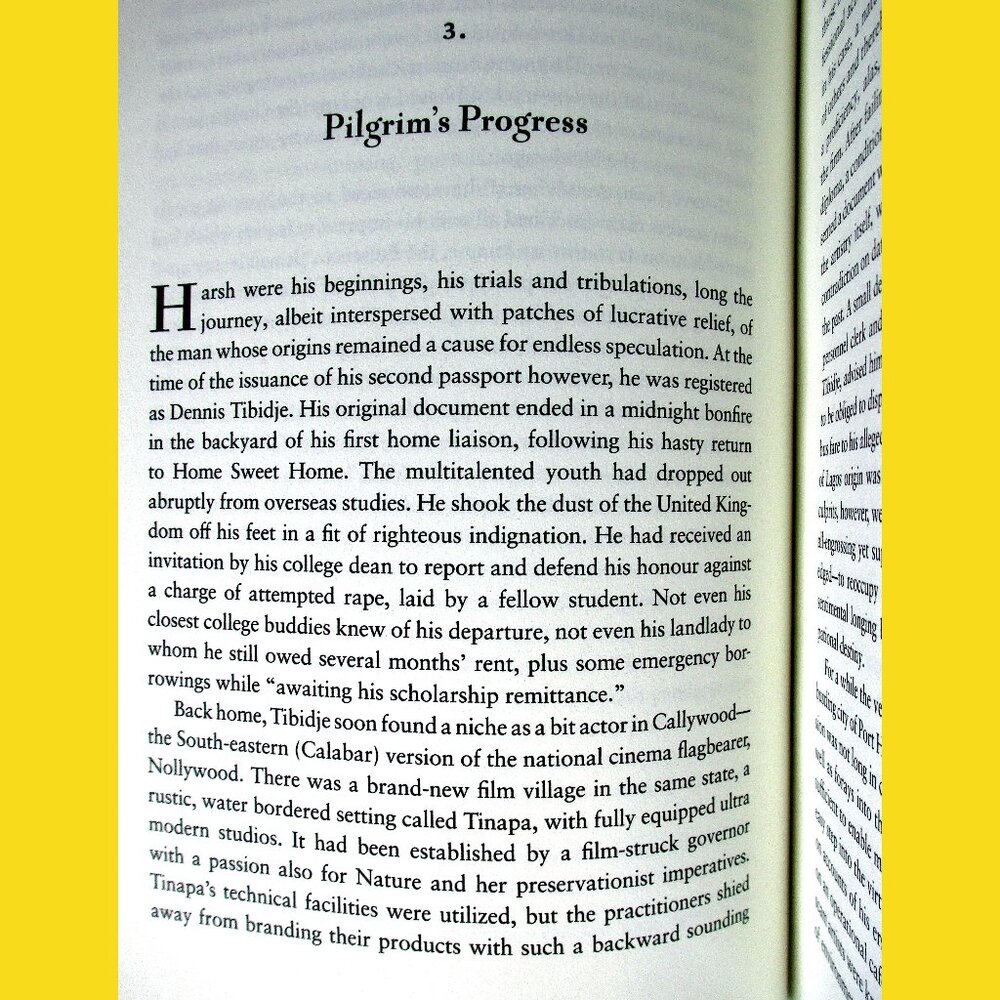 Book - Chronicles from the Land of the Happiest People on Earth: A Novel - Picture 7 of 12